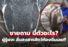 ชายโพสต์ถาม นี่ตัวอะไร? ตกได้ที่ลำตะคอง ผู้รู้เห็นแล้วตาโต ลั่นมาได้ไง สงสารสัตว์ท้องถิ่นล่วงหน้า!!