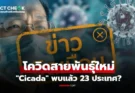 จริงหรือ? โควิดสายพันธุ์ใหม่ “Cicada” ไวรัสจากจิ้งหรีด พบแล้ว 23 ประเทศ : เช็กข่าวชัวร์