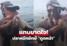 ไวรัลสยอง! ปลาหมึกยักษ์ “ดูดหน้า” ชาวประมงหายใจไม่ออก หนวด 8 เส้นรัดแน่น