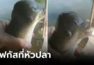 หนุ่มตะลึงตกได้ “สัตว์แปลก” ตัวเป็นปลาในน้ำ หัวเหมือนนกบนฟ้า ชาวบ้านแห่มุงตัวอะไร?