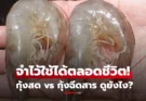 ซื้อกุ้งดูให้เป็น! เปิดคัมภีร์เลือก “กุ้งสด” vs “กุ้งฉีดสาร” จำไว้ใช้ได้ตลอดชีวิต ไม่โดนหลอกขาย