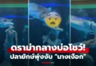 คลิป ปลายักษ์จู่โจม “เงือกสาว” อ้าปากงับหน้าเต็มๆ ผู้ชมช็อกลืมหายใจ มันพุ่งมาเร็วมาก!!!