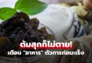 พบ “ตัวการ” ก่อมะเร็งตับ! หมอเตือนพิษร้ายกว่าสารหนู 68 เท่า แต่หลายบ้านยังกินซ้ำๆ